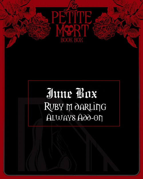 Always Add-on - All of the Above Book Box
